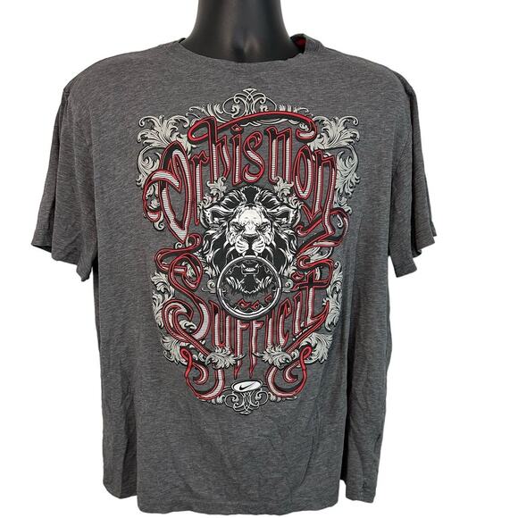 Nike T Shirt LeBron James Lion Special Edition Dri Fit Gray XL - Picture 1 of 10